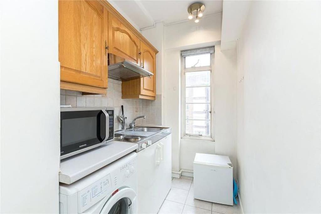 King-Sized Studio, 6Th Floor + Lift, Regent'S Park 伦敦 外观 照片